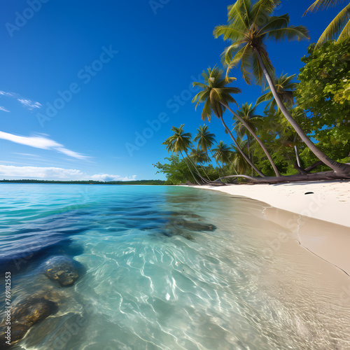 Tropical beach with palm trees and clear blue water