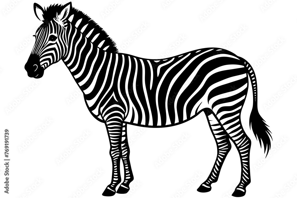 Fototapeta premium zebra silhouette vector illustration