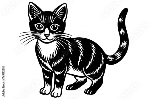 cat silhouette vector illustration