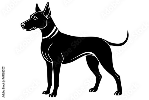 dog silhouette vector illustration