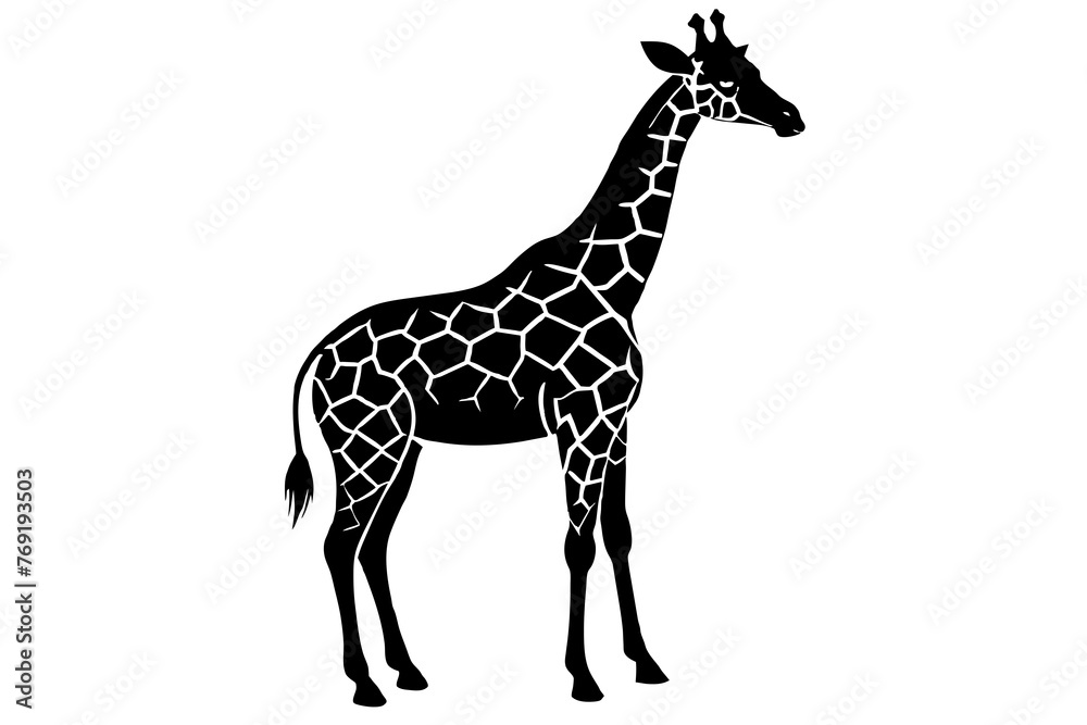 Fototapeta premium giraffe silhouette vector illustration