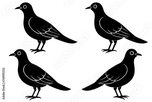 peaches silhouette vector illustration