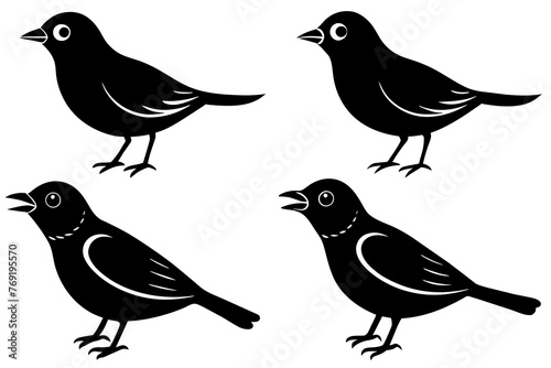 nibbles bird silhouette vector illustration