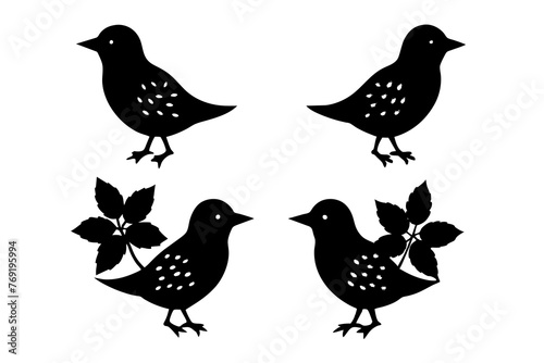ivy bird vector silhouette vector illustration