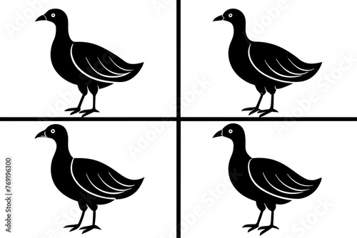 flossie bird silhouette vector illustration photo