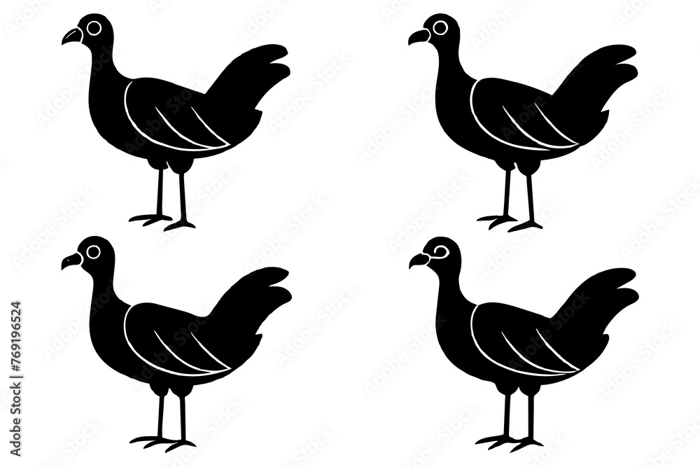 flossie bird silhouette vector illustration