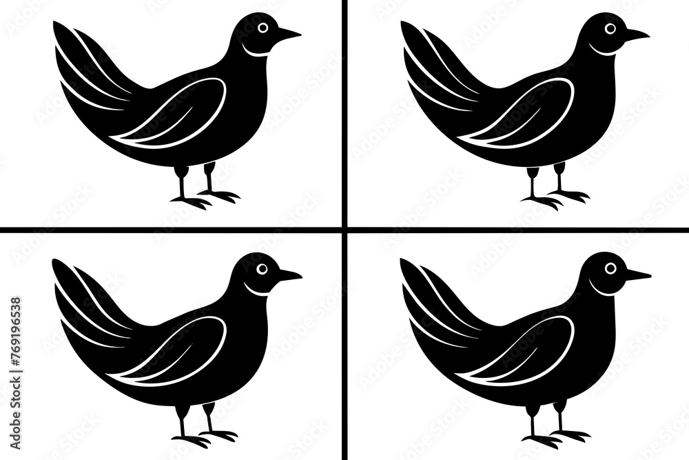 Fototapeta premium flossie bird silhouette vector illustration