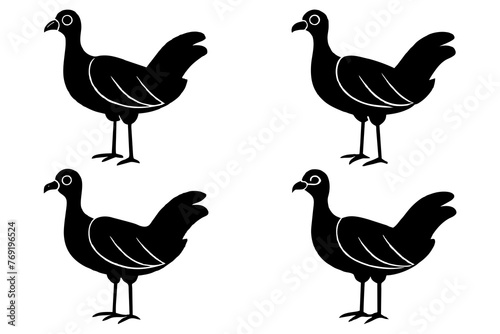 flossie bird silhouette vector illustration