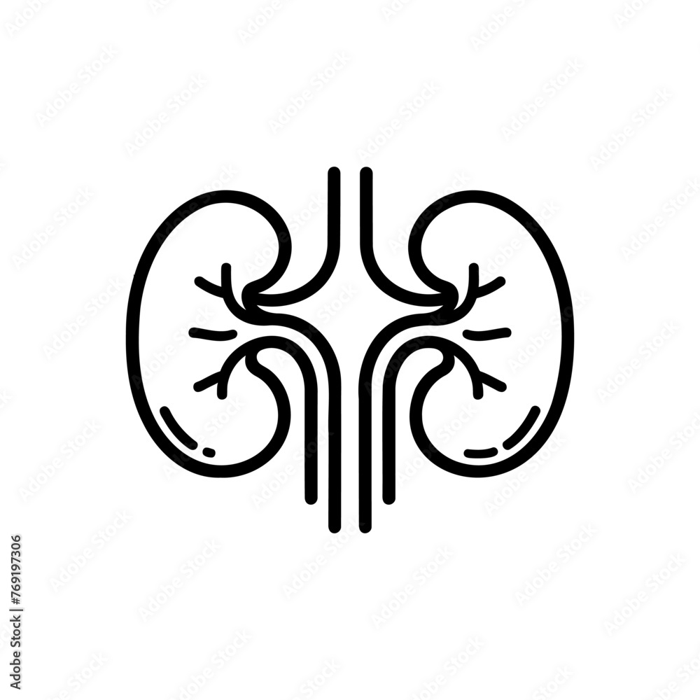 Obraz premium Kidney icon vector. kidneys vector illustration on white background