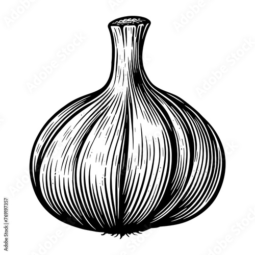 garlic plant sketch PNG illustration with transparent background