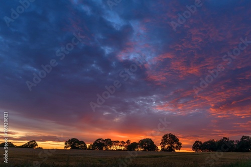 Trees on the horizon in the evening sky with evening red, silouettes, in front cornfield, Mecklenburg-Vorpommern, Germany, Europe photo