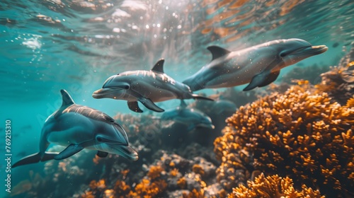 Three electric blue dolphins swim near an underwater coral reef