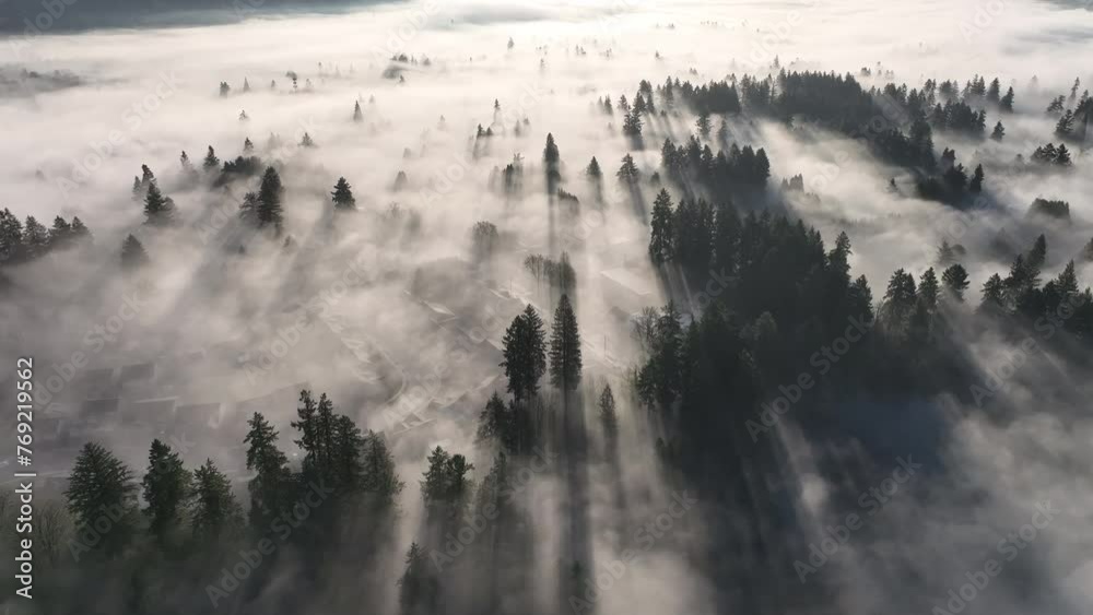 Early morning sunlight illuminates fog that has settled in the Willamette Valley in northern Oregon, not far south of Portland. The entire Pacific Northwest is known for its moist, temperate climate.