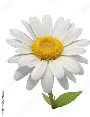 Daisy flower Transparent Background PNG