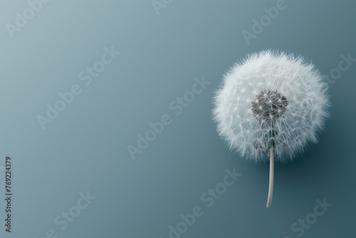 Irregular sphere made of dandelion fluff against blue backdrop with copy space.
