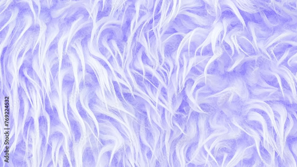 Video close up on texture of light purple or violet long artificial fur close up. Home decor and comfort concept. Square banner with copy space for social media Video close up on texture of light purple or violet long artificial fur close up. Home decor and comfort concept. Square banner with copy space for social media