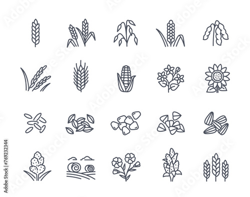Vector Set of cereals linear icons