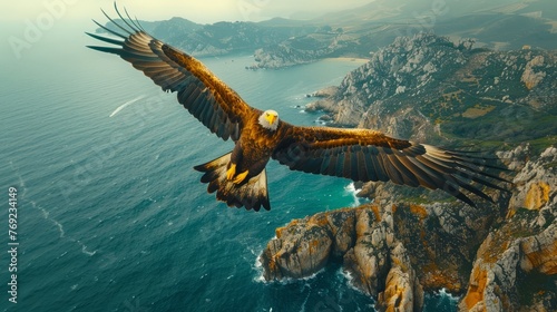 Accipitridae bird soaring over ocean cliff, showcasing natures beauty © yuchen