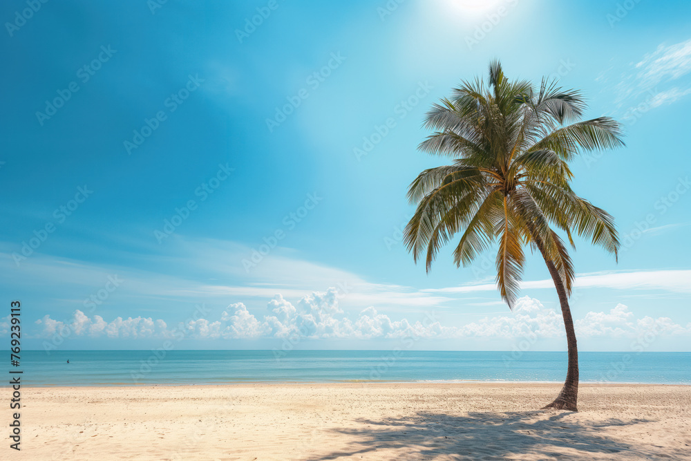 Fototapeta premium tropical beach with palm trees. Sunny summer day. Summer vacation and travel concept.