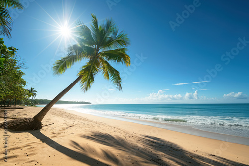 tropical beach with palm trees. Sunny summer day. Summer vacation and travel concept. © Koray