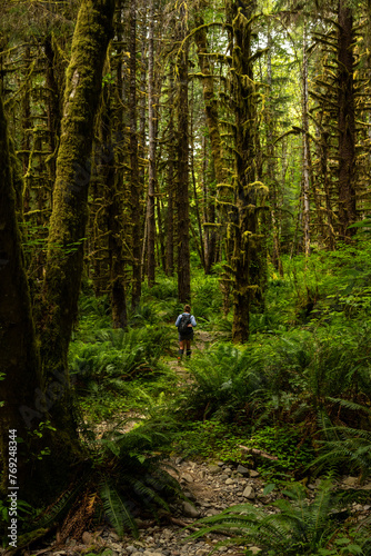 Hiker Walks Down Rocky Trail Amont The Towering Moss Covered Trees