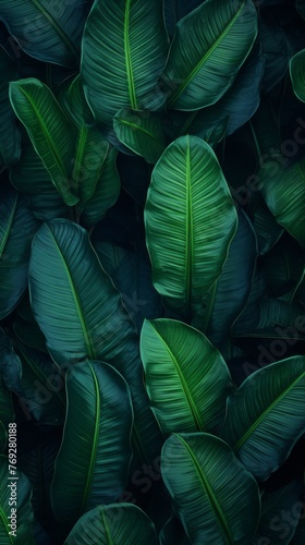 Tropical leaves pattern