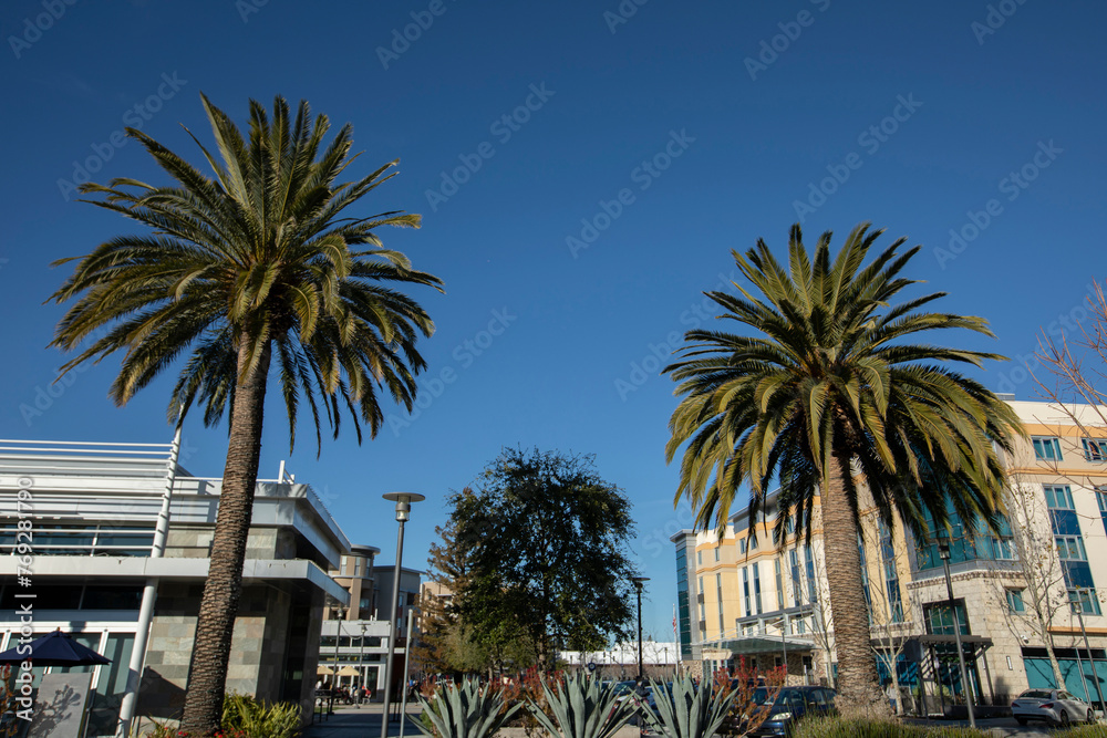 Afternoon sun shines on the buildings of downtown Cupertino, California, USA.