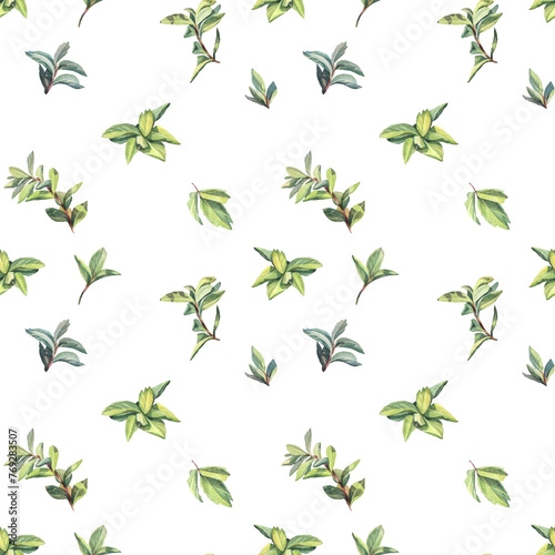 Seamless pattern watercolor green leaf of on white background. Hand-drawn summer wild plant foliage. For decor. Botanical nature art for sticker tea wallpaper wrapping textile kitchen