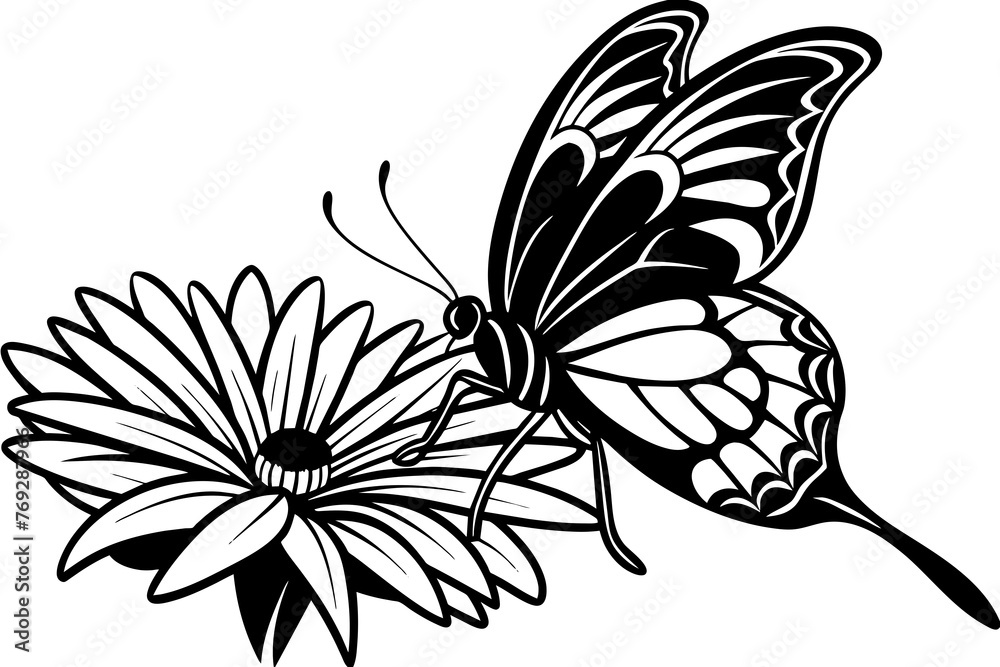 kupu kupu dengan antena panjang mendarat vector illustration 