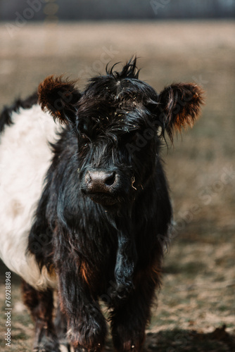 farm life 