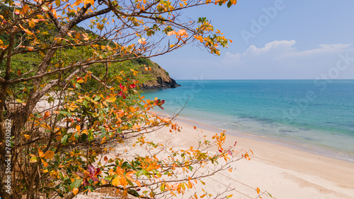 Beautiful beach view of Koh Lanta with yellow trees in the dry season. Krabi Province, Thailand, Asia