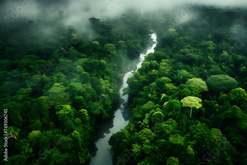 A river winds through the dense Amazon rainforest, shrouded in ethereal fog