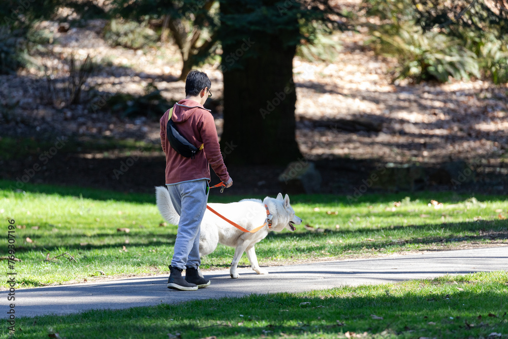 Obraz premium Man walking with his dog in a park, enjoying sunny warm spring weather and the nature