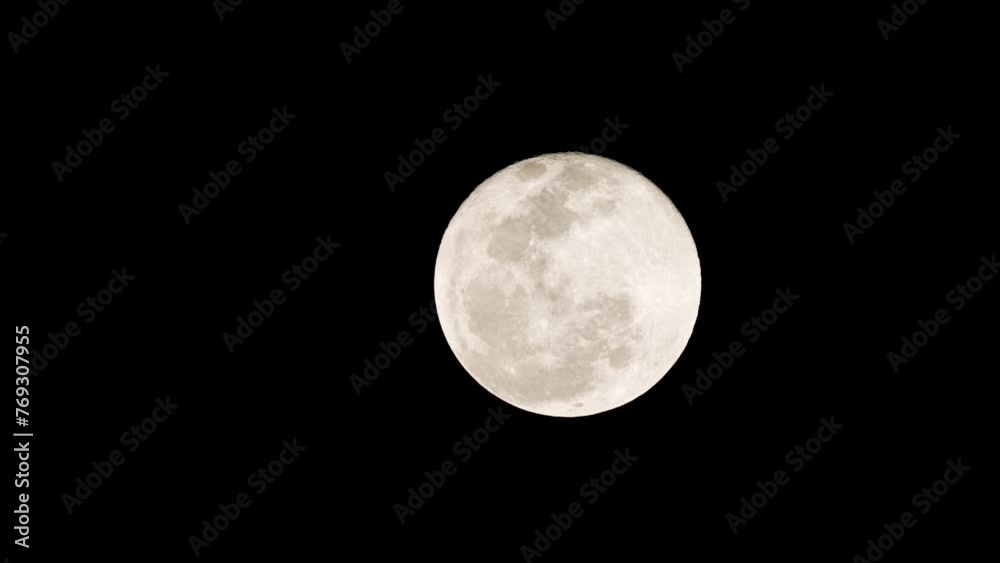 Shot of Full Moon with Silhoutte of Small Bat Flying By Shot of Full Moon with Silhoutte of Small Bat Flying By