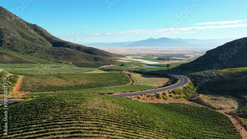 Wine Estate in Riebeek Kasteel, Western Cape, South Africa photo