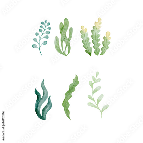 Vector cartoon watercolor set of sea plants with Seaweeds
