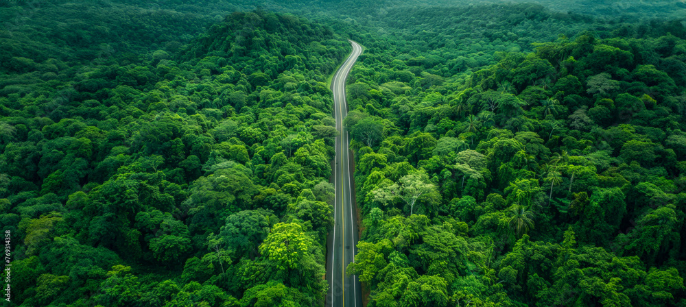 Aerial view of a green forest and a road cutting through nature