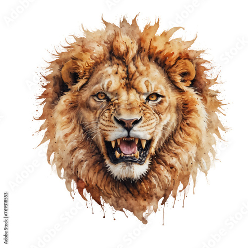 lion isolated on white