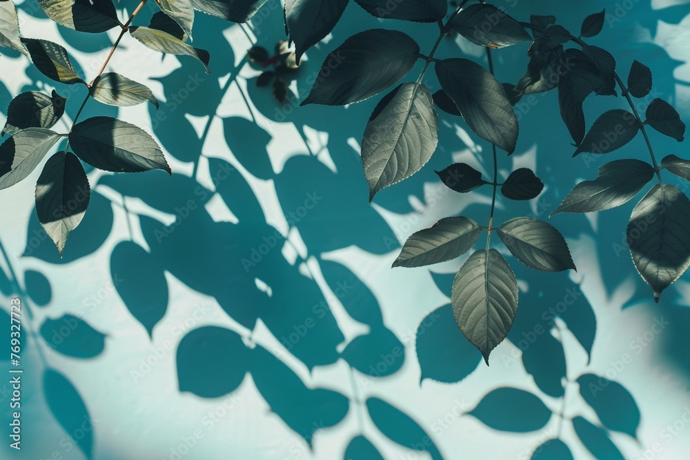 Leaves with shadow on a blue wall background. Flat lay. Copy space. Leaves with shadow on a blue wall background. Flat lay. Copy space.