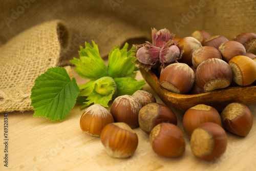 Fresh unshelled hazelnuts in front of the jute sack