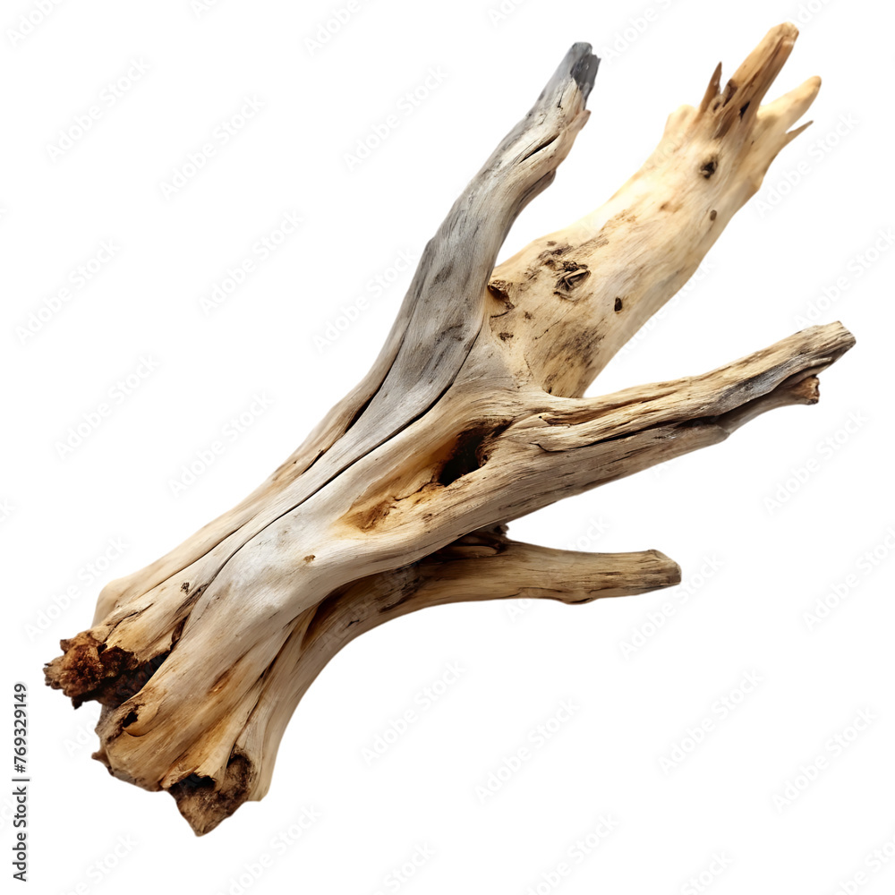 driftwood isolated on transparent background png psd