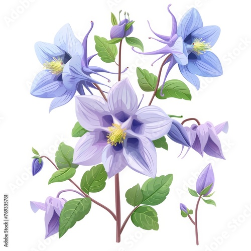 Flat Design, Beautiful Columbine Flower Illustration, Vector Style.