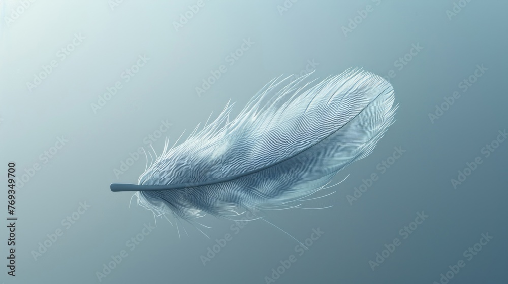 A solitary white feather floats on the waters surface A solitary white feather floats on the waters surface