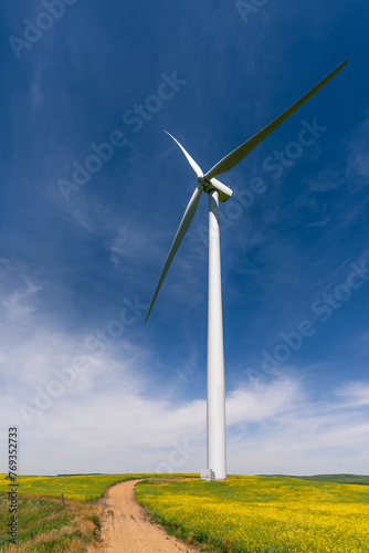 Wind turbine surrounded by beautiful canola fields
