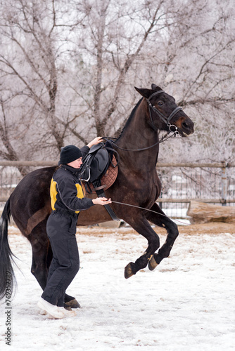 Horse leaping with handler in snowy enclosure. Dressage.
