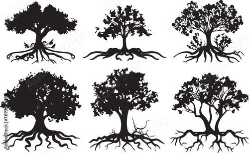 Silhouette vector of tree and root on white background