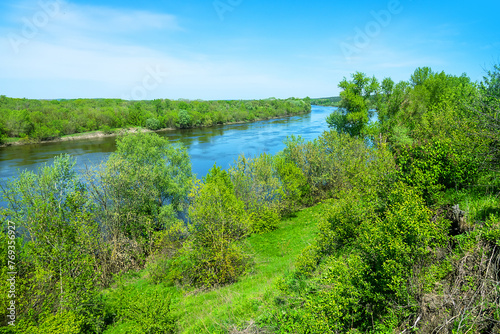 Potamology. The Don River in the middle reaches. Strong river flow and floodplain forest consisting mainly of white willow  mock valley