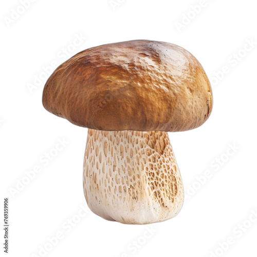 chanterelle mushroom on transparent background