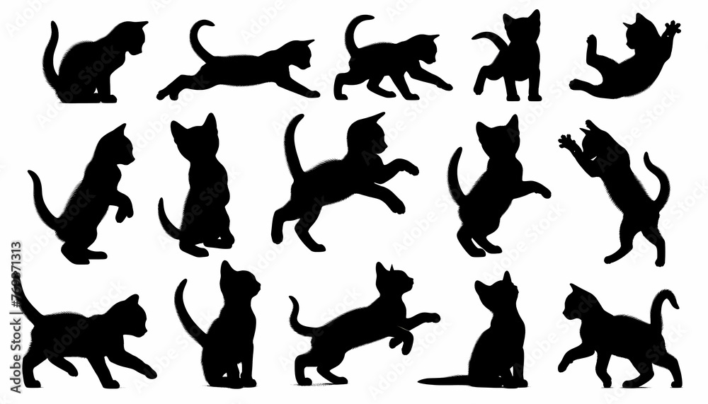 アクティブな子猫のシルエット アクティブな子猫のシルエット