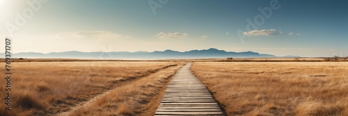 Beautiful panoramic sunny dried grass lands landscape with wooden path nature banner poster background backdrop from Generative AI